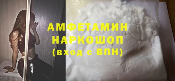 мет Алексин