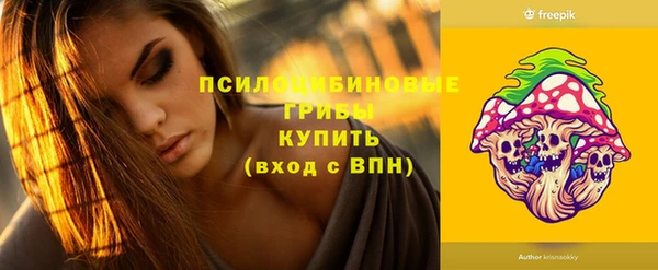 ECSTASY Аркадак