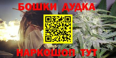 индика Северобайкальск