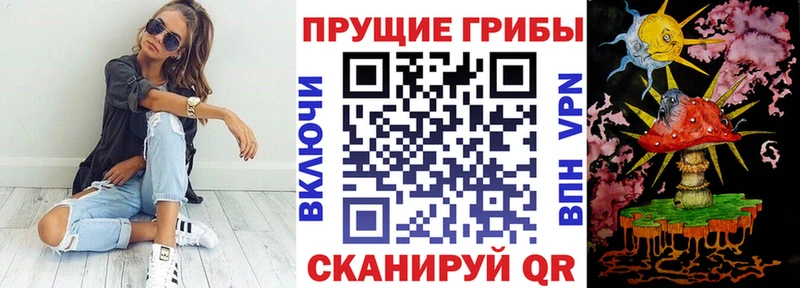 Галлюциногенные грибы Cubensis  Темрюк 