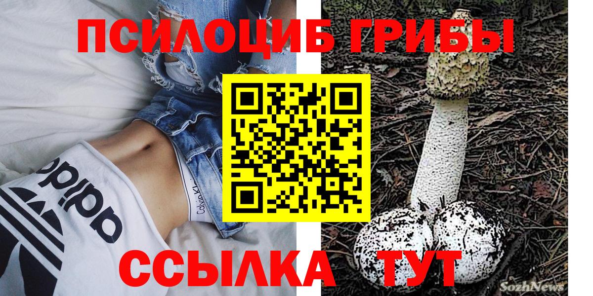 Темрюк  Галлюциногенные грибы GOLDEN TEACHER  Вход с VPN 